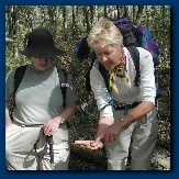 Nancy shows an Oak Gall to Cathy
