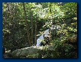 Crabtree Falls Trail
1400 feet high